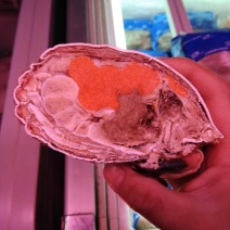 面包蟹食用