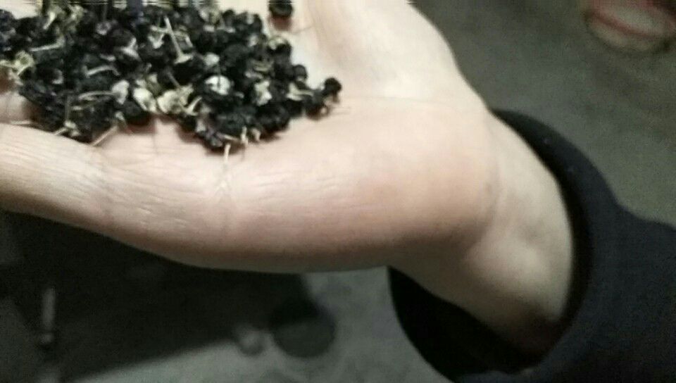 显微镜下的枸杞果肉细胞结构示意图