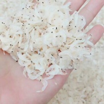 虾皮特级