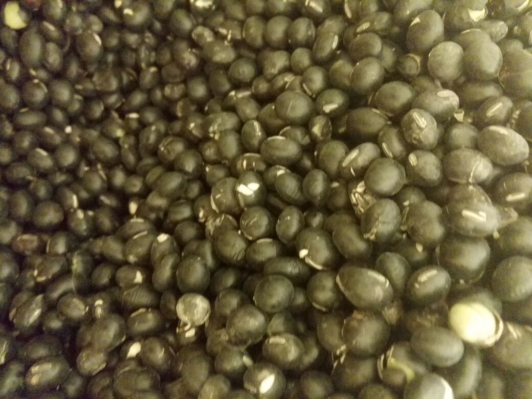 黑豆食谱推荐图