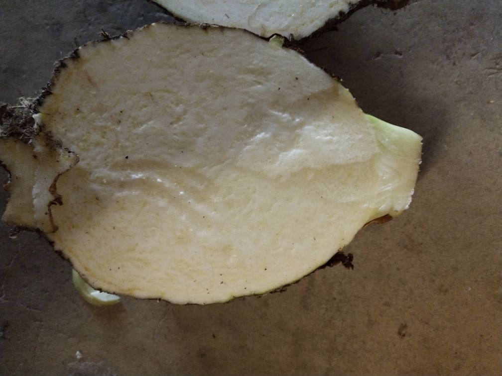 香芋切片展示花青素分布