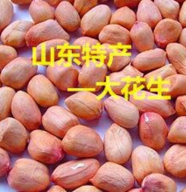 [花生米批发]鲁花花生米 红皮 一级精选花生米好货价格5.