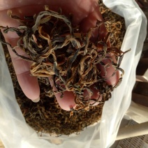 脱水长豆角