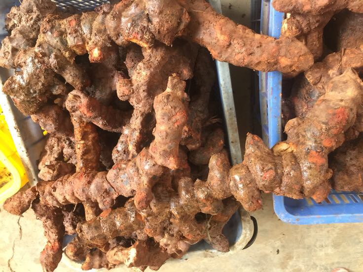 药材选购对比图