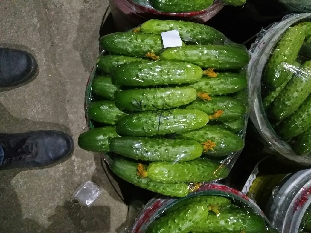 高清实拍:新鲜旱黄瓜切片装盘,表面覆薄层蒜泥醋汁,晶莹透亮无渗水;右下角插入检测报告局部截图,清晰标注'类黄酮14.2mg/100g'、'维生素C 12.6mg/100g'及'农残未检出'红章 旱黄瓜凉拌实拍与营养标签特写