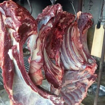 驴肉鲜货