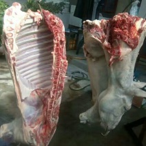 驴肉鲜货