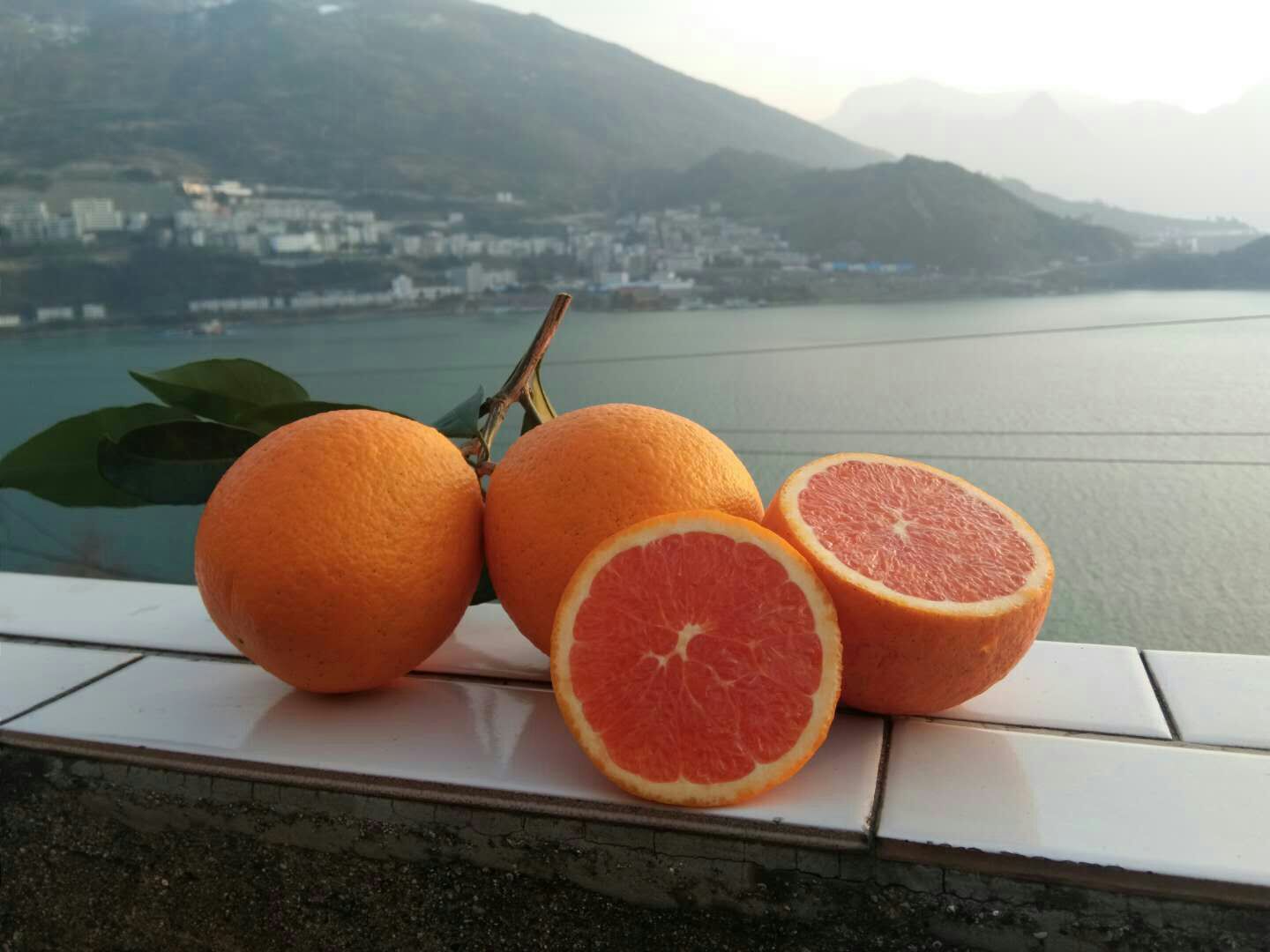 切开的丹棱红心脐橙特写