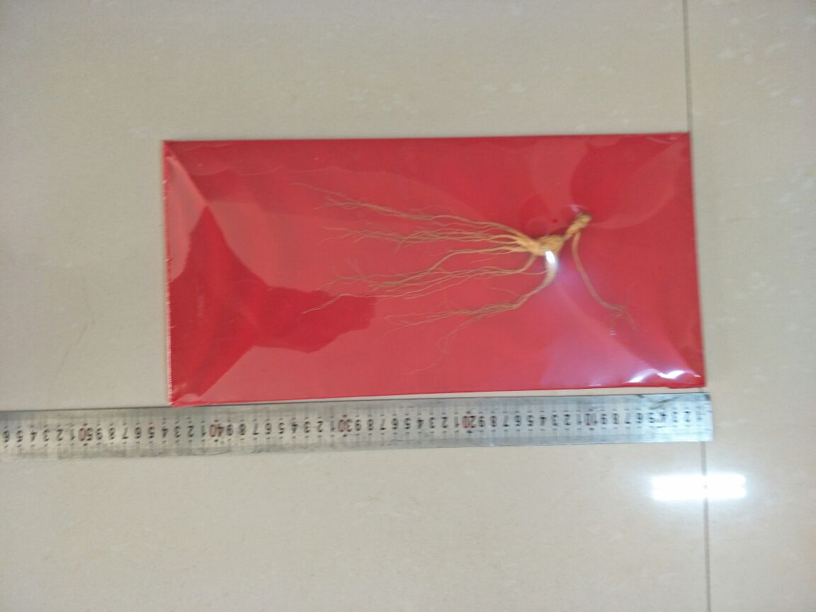 实验室中对林下参进行高效液相色谱分析检测皂苷成分