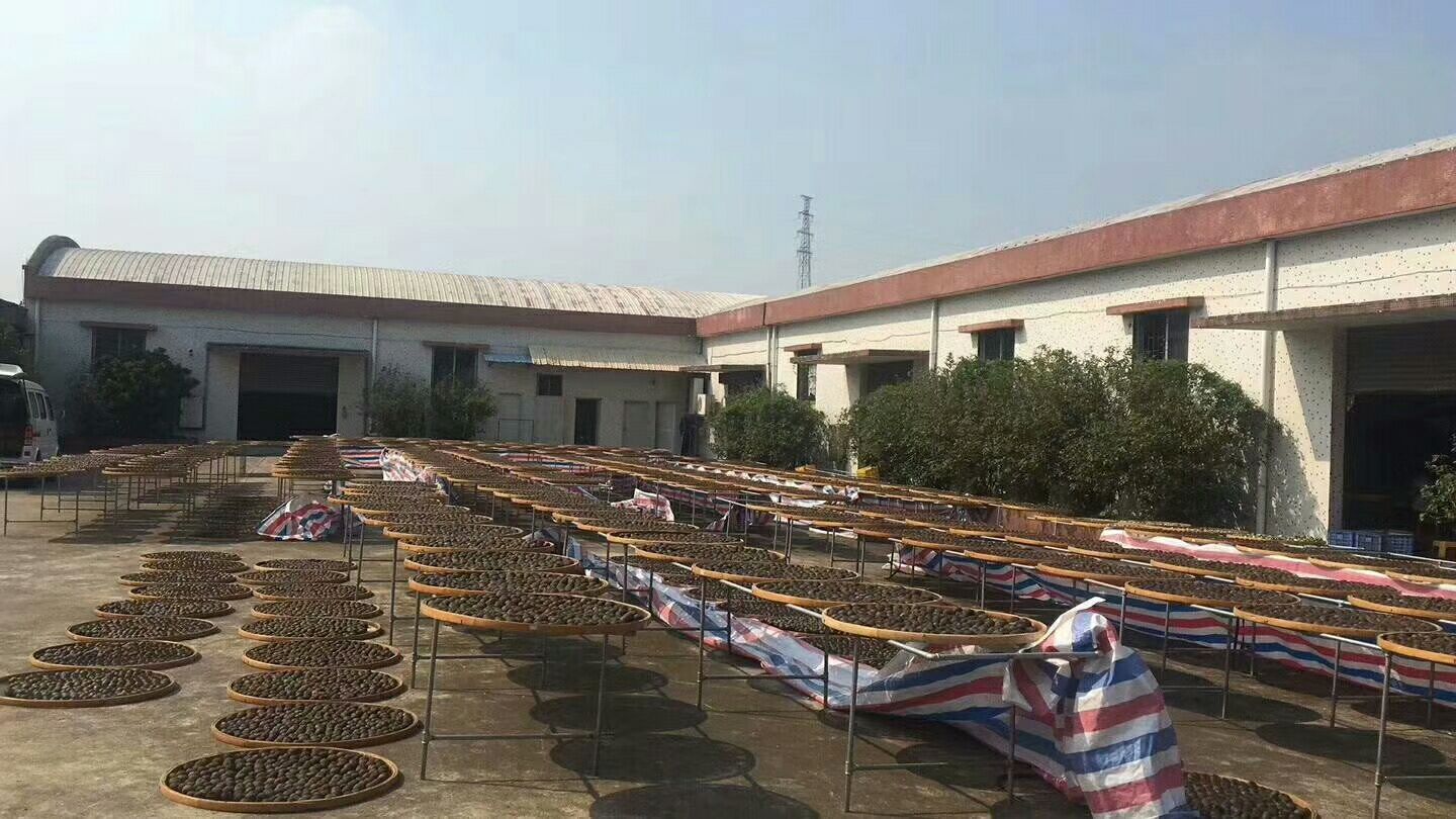 陈皮成品展示图