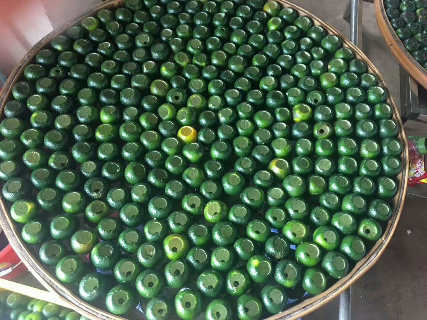 展示新鲜橘子皮被晾晒成陈皮的过程,包括清洗、切片、晾晒等步骤 陈皮制作过程图