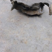 毛石