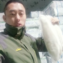 巴沙鱼