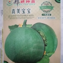 绿甜宝甜瓜种子