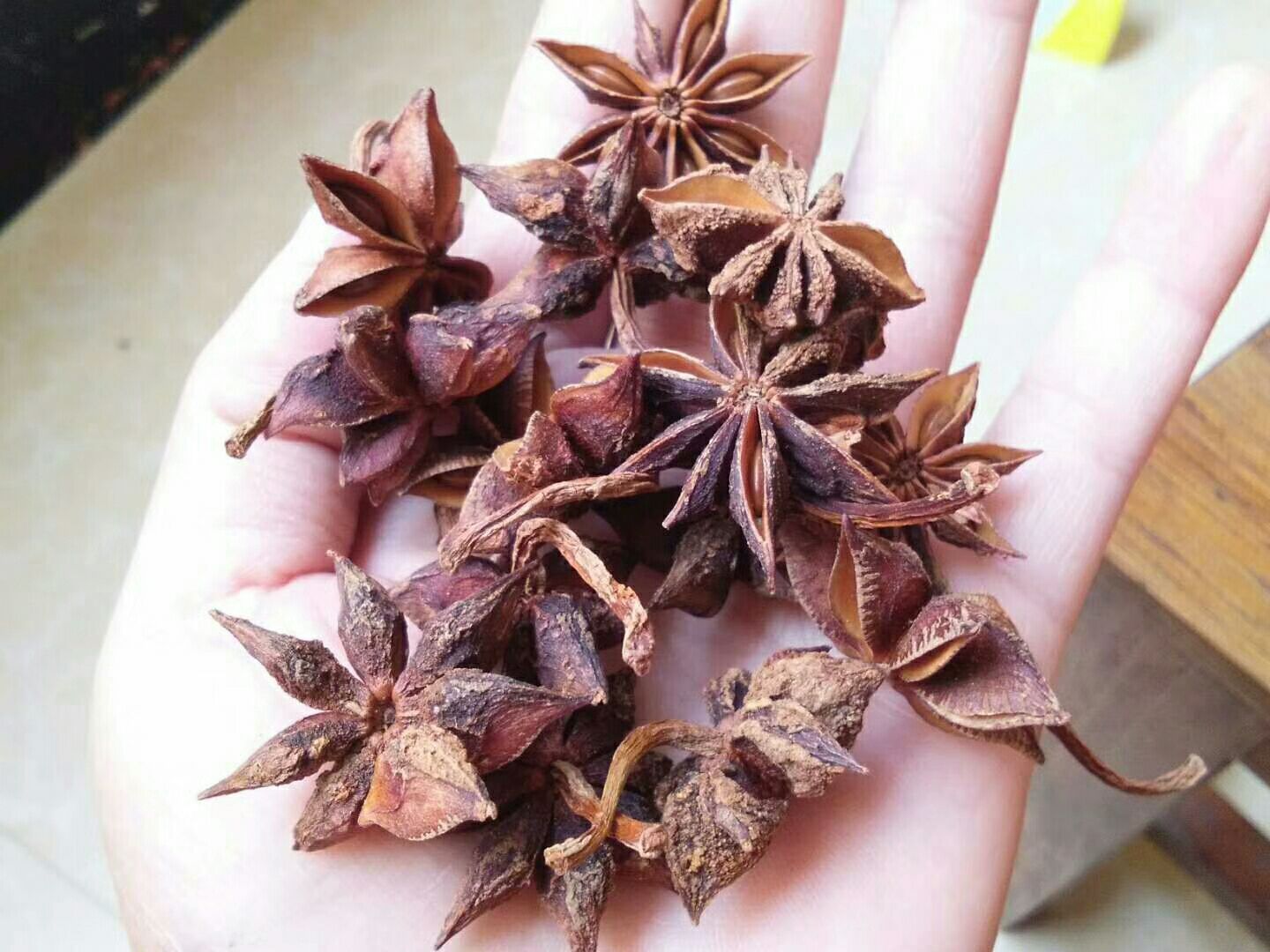 正八角形与外接圆的关系图