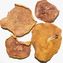松蘑三级