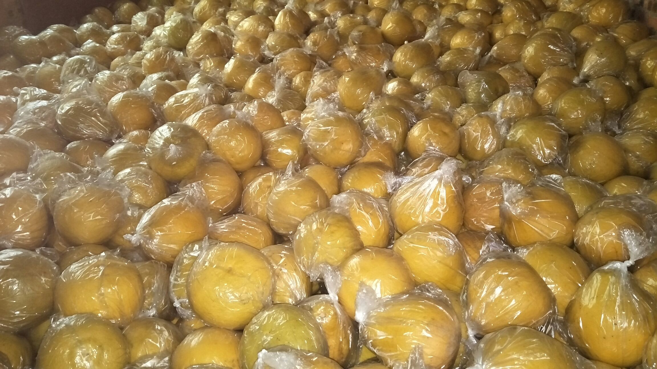 沙田柚品牌包装与电商销售渠道