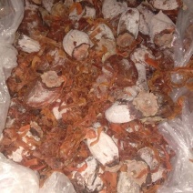 柿饼1~2两