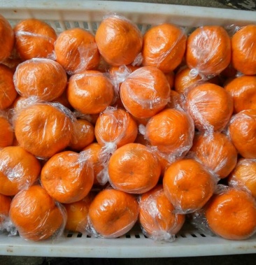 衢州市椪柑,清甜可口,汁多清脆