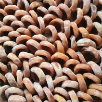 柿饼1~2两