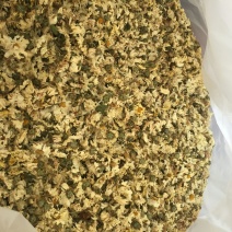 药用菊花散装