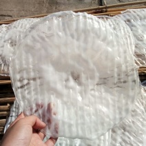 绿豆粉皮包装手工粉皮