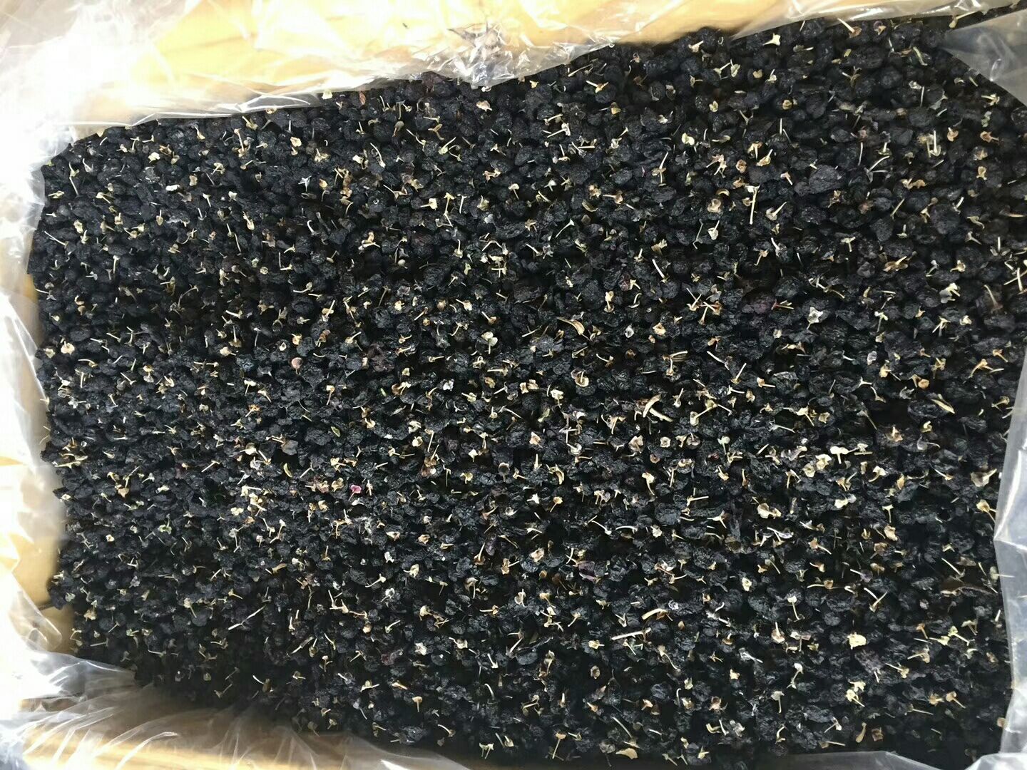 黑枸杞干果实物图