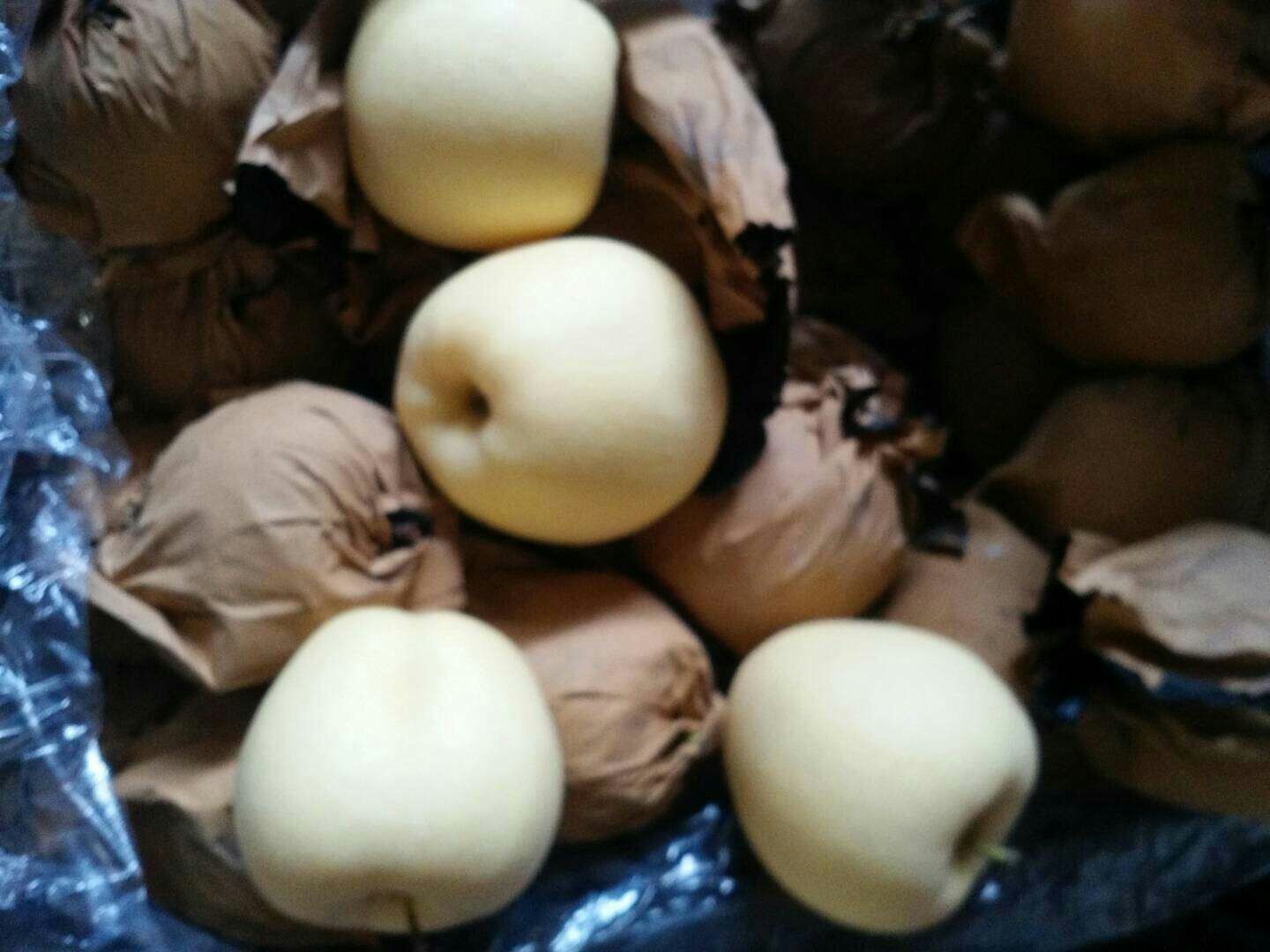 现代化苹果分拣包装车间内景