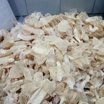 长裙竹荪特级