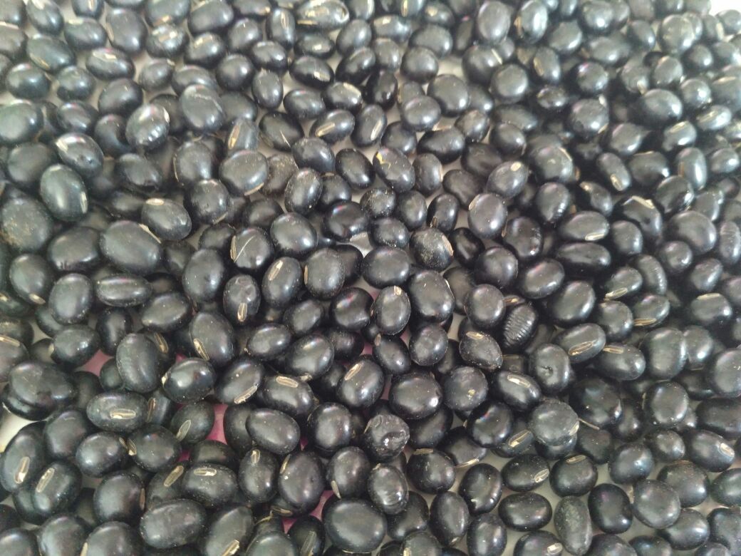 黑豆搭配食材营养对比图