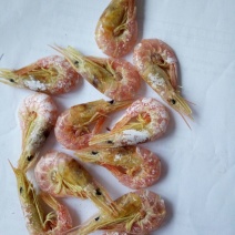 干虾
