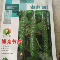 黄瓜种子98%以上