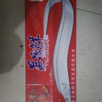 刀鱼食用冻鱼