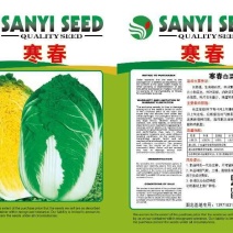 大白菜种子