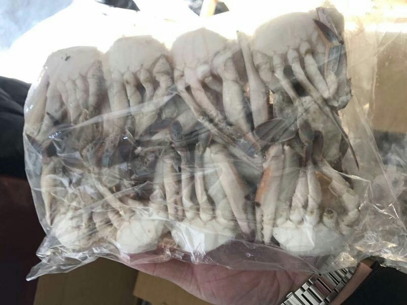 远海梭子蟹在自然海域中保持硬壳状态