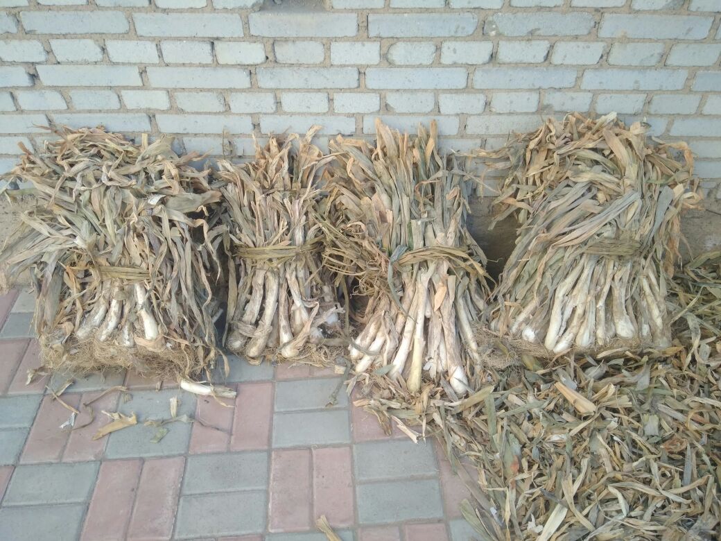 鸡腿与大葱、姜蒜混合腌制的画面,展示腌制过程 鸡腿腌制过程