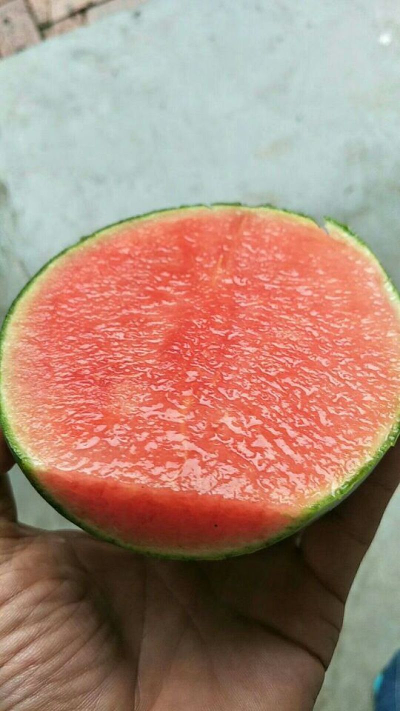 珍珠红西瓜2斤打底9成熟1茬