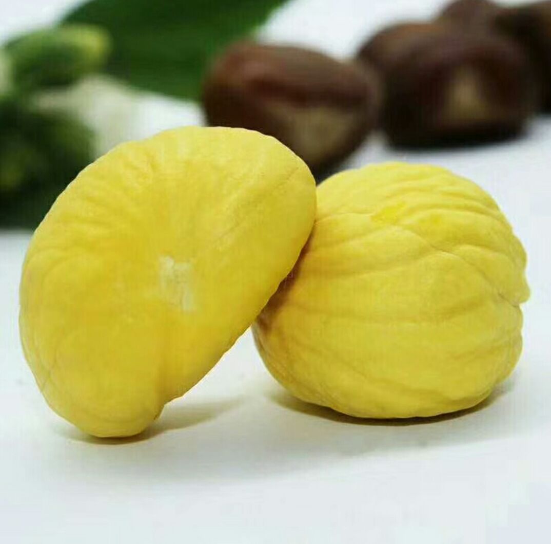 静物摄影:展示蒸制后油栗仁温润金黄的色泽与饱满形态,海盐颗粒与迷迭香提供风味与抗氧化协同暗示,强调健康烹饪方式 蒸熟去壳的油栗仁特写:整齐排列在青瓷碟中,表面泛自然油光,旁边搭配一小撮海盐与两片新鲜迷迭香