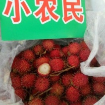 毛丹2cm以上