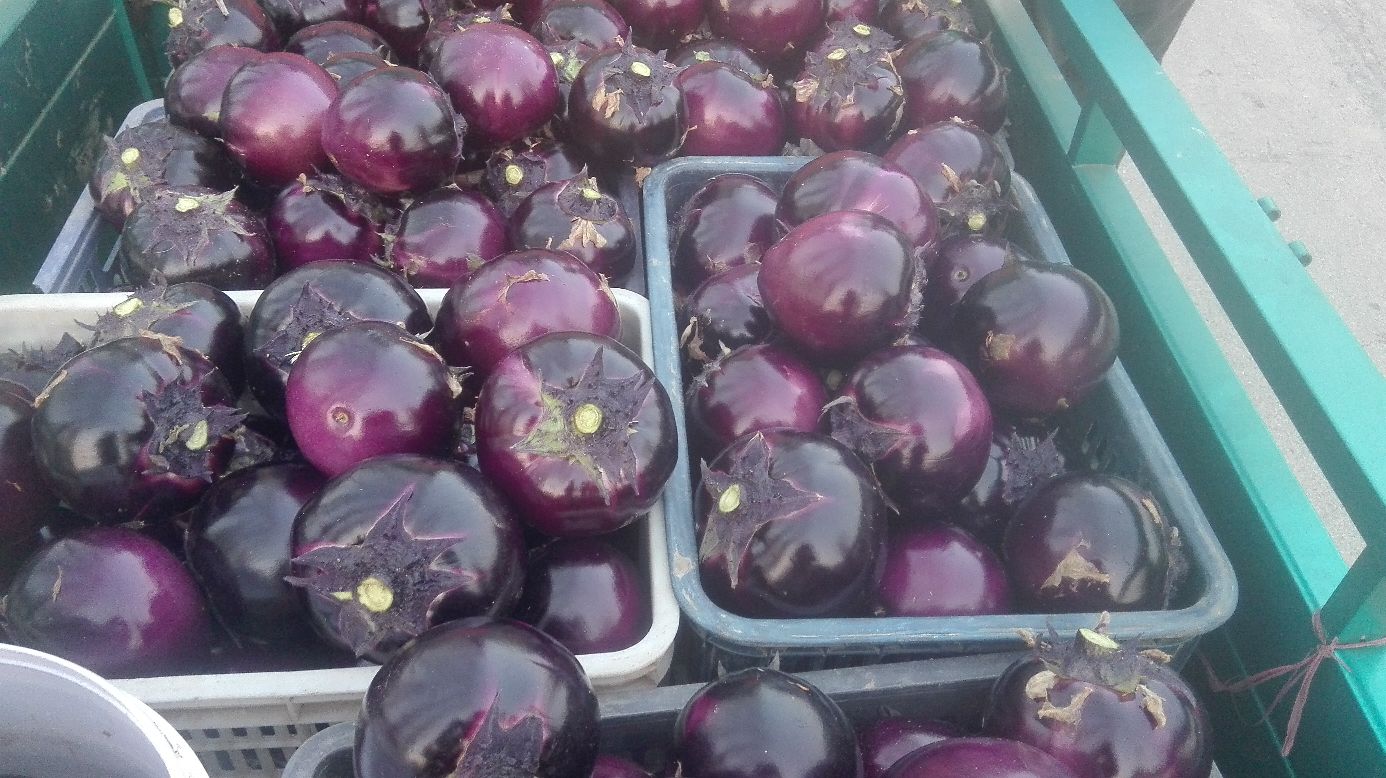 超市货架上摆放整齐的新鲜茄子