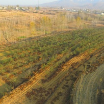 山地转租10~100亩10年以下