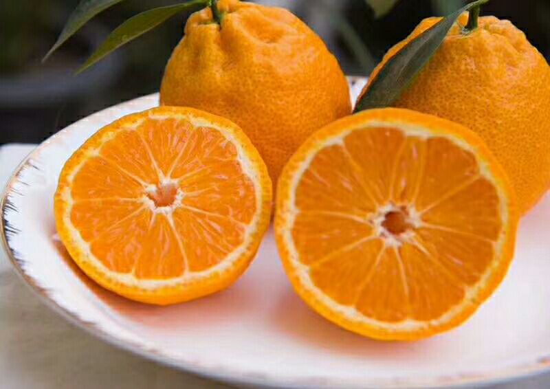 黄果柑特写展示图