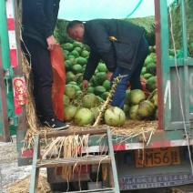 椰子6斤以上