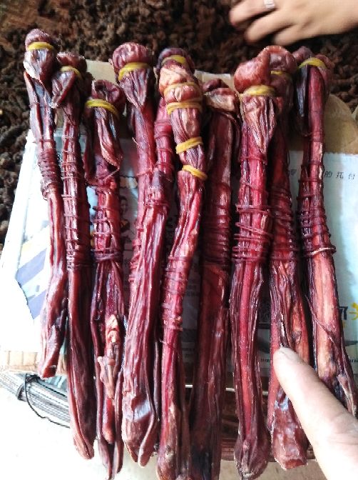 上等海狗鞭 中药材 35厘米左右 包邮价格实惠 欢迎进店