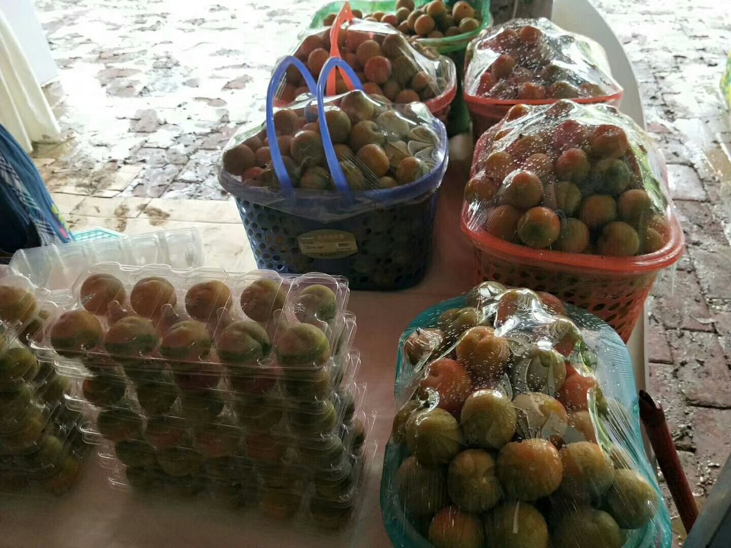 蜂糖李在精品超市中的陈列展示,吸引消费者选购 蜂糖李在市场销售场景