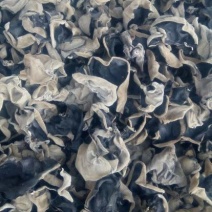 黑木耳
