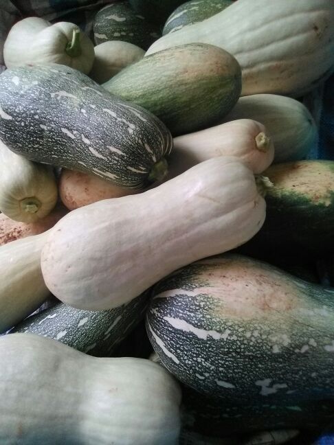 宁德食品行业的最新动态