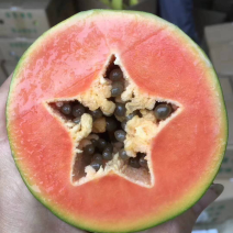 木瓜，广西产地直发！品相好，口感甜，营养丰富！