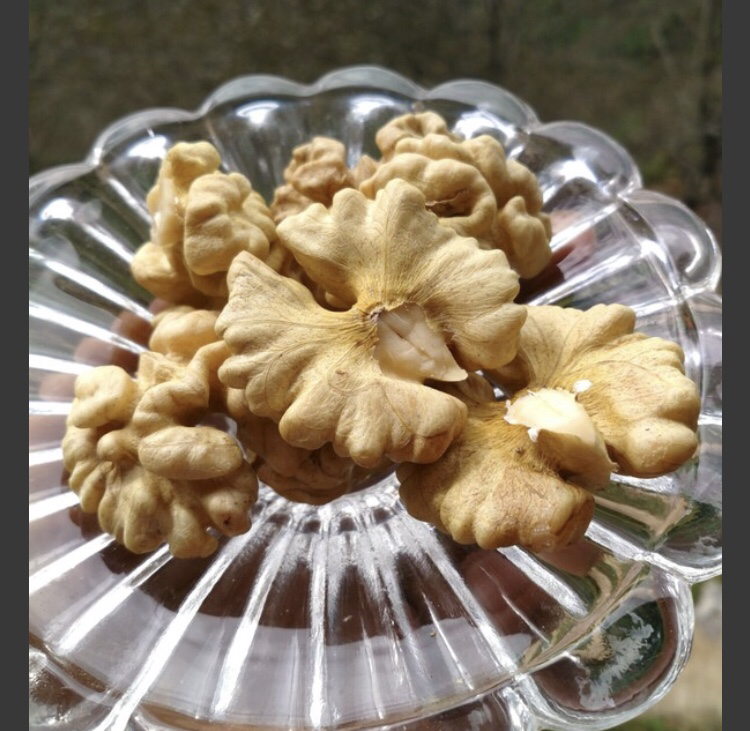 透明玻璃碗中盛放着数颗乳白色的新鲜核桃仁,质地柔嫩,周围搭配绿色薄荷叶和黄色柠檬片,背景柔和明亮,传达出天然、健康、清新的食品美学氛围 透过玻璃碗展示几颗去壳后的嫩白色青皮核桃仁,周围点缀薄荷叶和柠檬片,体现清新健康的饮食风格