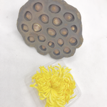 金丝皇菊精美盒装20朵